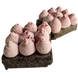 Брауні чіз вишня &mdash; фото десерту без цукру | Euphoria Sweets